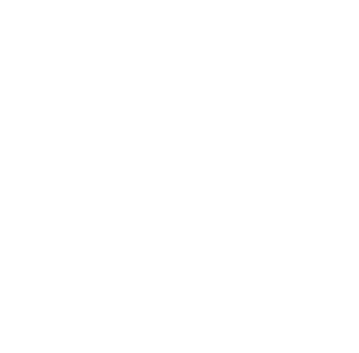 Logo Violani Associati